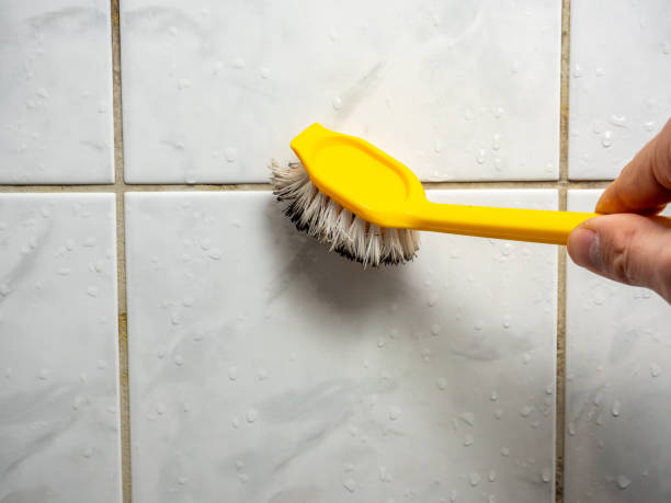 Best Mold Testing  in Itasca, IL