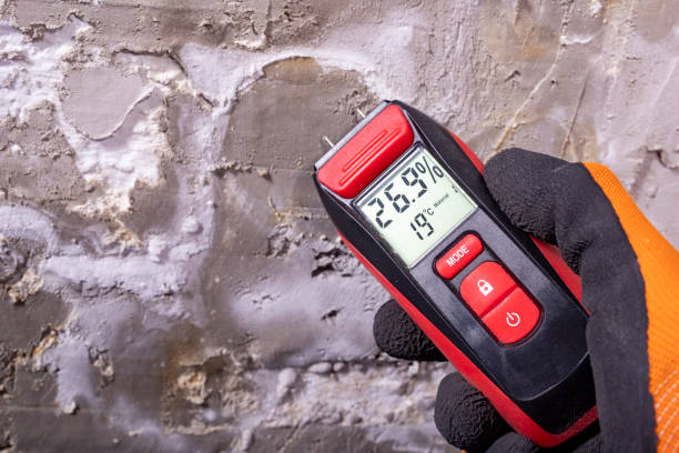 Trusted Itasca, IL Mold Removal Experts